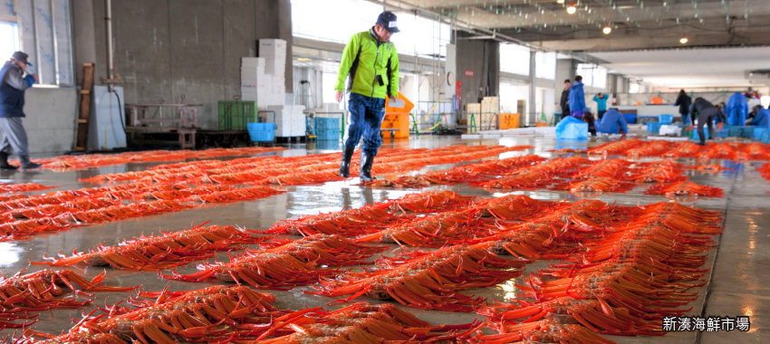新湊海鮮市場